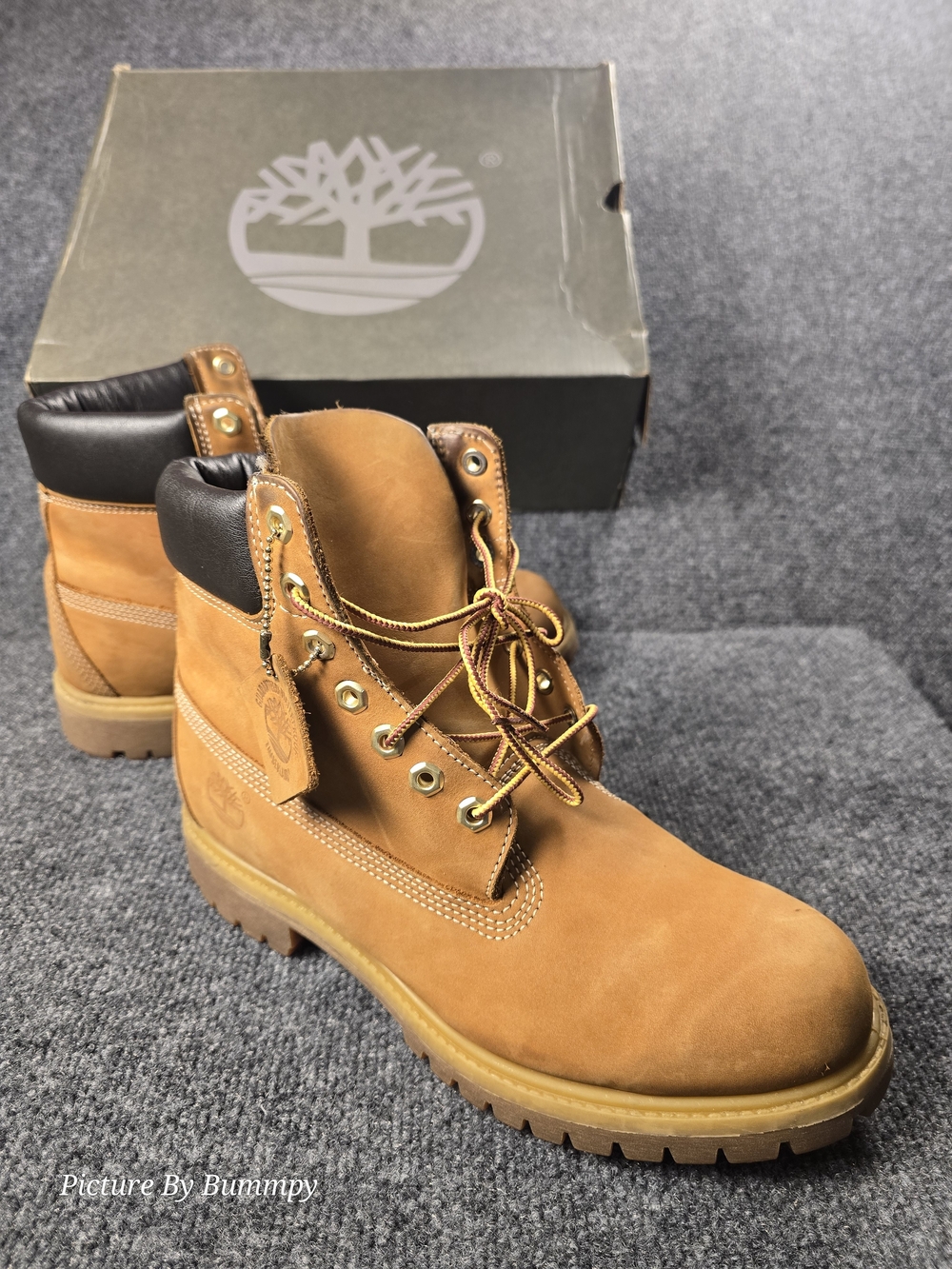 Timberland 6-Inch Premium Waterproof Boots Wheat Men's 9 10061 With Box
